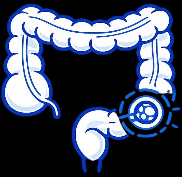 service icon