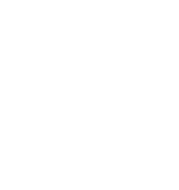 logo white